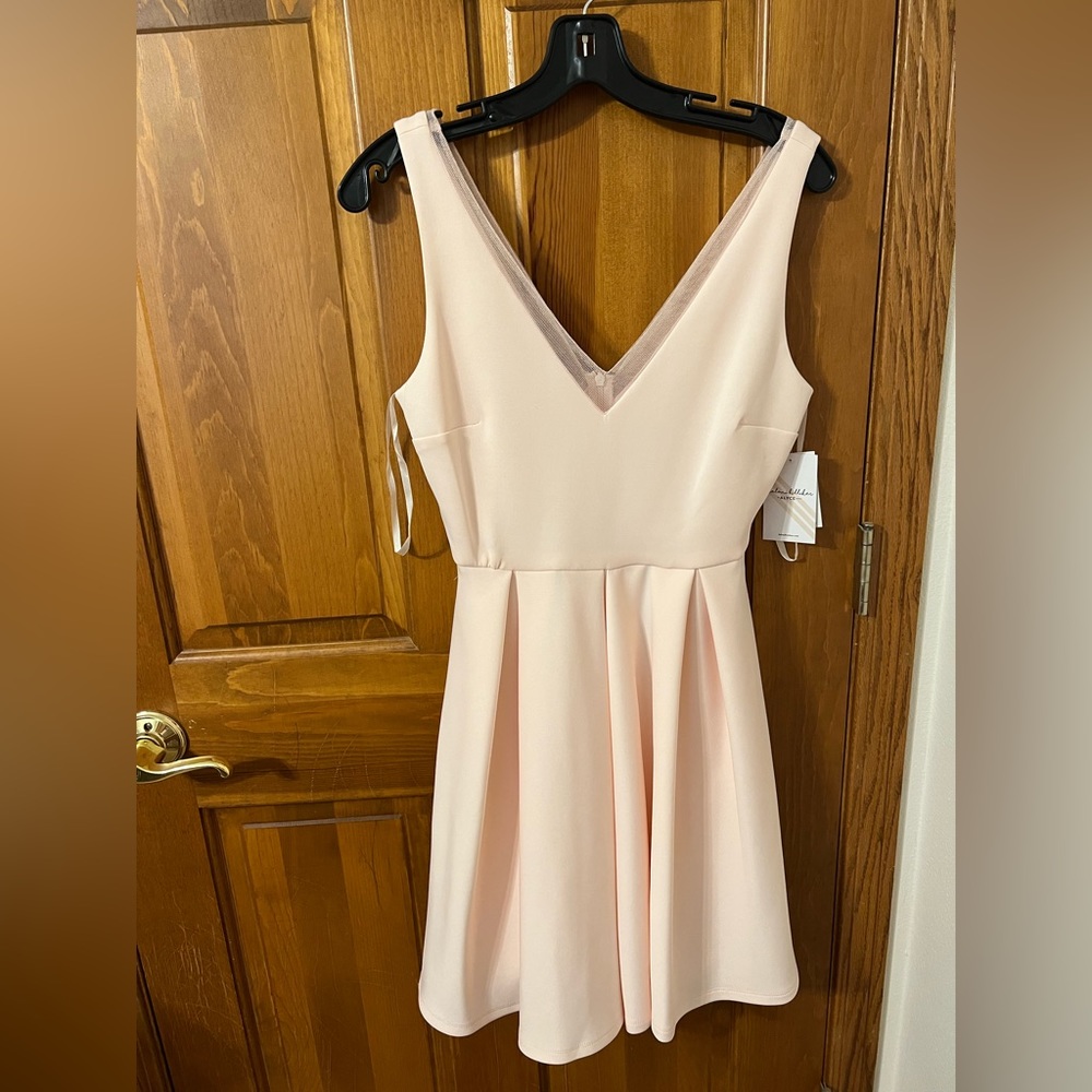 Kalani Hilliker for Alyce Paris blush mini dress